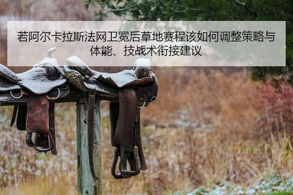 若阿尔卡拉斯法网卫冕后草地赛程该如何调整策略与体能、技战术衔接建议